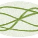 Logo Acupunctuur Praktijk en Shiatsu Massage Praktijk