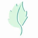 Logo Mint Coaching en Development