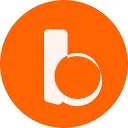 Logo Boat Local