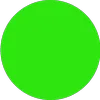 Logo Radical New Future