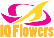 Logo IQ Flowers