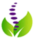 Logo Natuurlijk Chiropractie
