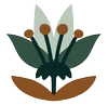 Logo Beth Farris Consulting