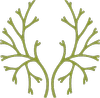 Logo The Breathing Space