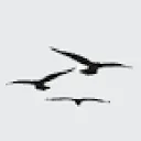Logo Nature Quest