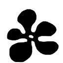 Logo Nastassja Bonnabel
