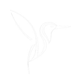 Logo ZSELF Analytische Coaching AND Therapie