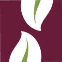 Logo Natuurlijk Waarnemen
