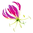 Logo Uitvaartzorg Karin