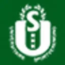 Logo US handbal