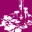 Logo Nederlandse Budget Centrale