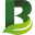Logo van Borgerink Groendesign