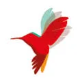 Logo KokxDeVoogd