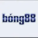 Logo RUIG