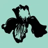 Logo Stichting Lovely Leah Foundation