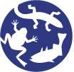Logo RAVON