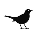 Logo Checkbird