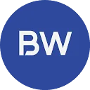 Logo Blue Wasp Marine