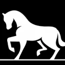 Logo Erica Horse Care