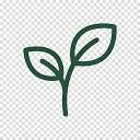 Logo Purpose Design