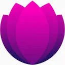 Logo Mathilde Ponds - de Heelkamer