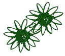 Logo Gebr Rotteveel Vaste Plantenkwekerij