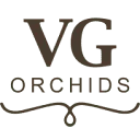 Logo VG Orchids