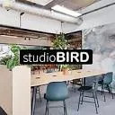 Logo studioBIRD