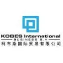 Logo KOBES Int Business B.V.