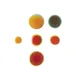 Logo Fysiotherapie AND Beweegcentrum Maartensdijk