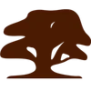 Logo Traject Parket