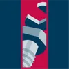 Logo De Ruiter