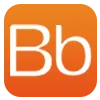 Logo Brainbox Consulting