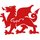 Logo Welsh Slate Europe