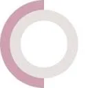Logo Cindy van Mil professional organizer