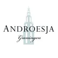 Logo Androesja