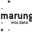 Logo van Marunga into data