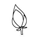Logo Stichting In de Knop