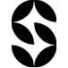 Logo Social Capital
