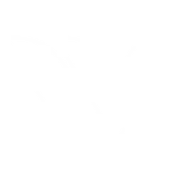Logo Vita Elite