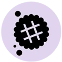 Logo Doublesmart