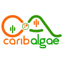 Logo CaribAlgae