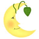 Logo De Heldere Maan