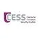 Logo CESS: Centre for European Security Studies