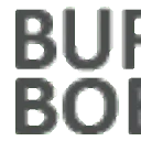 Logo Bureau Boeren Executive Search