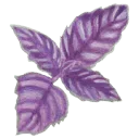 Logo GreenWHYse