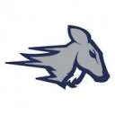 Logo HSV The Stags