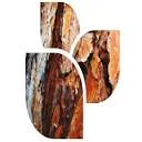 Logo Ribbonwood Graphic Design