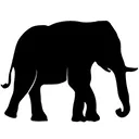 Logo van Bring The Elephant Home Foundation