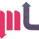 Logo ML SUPPORT